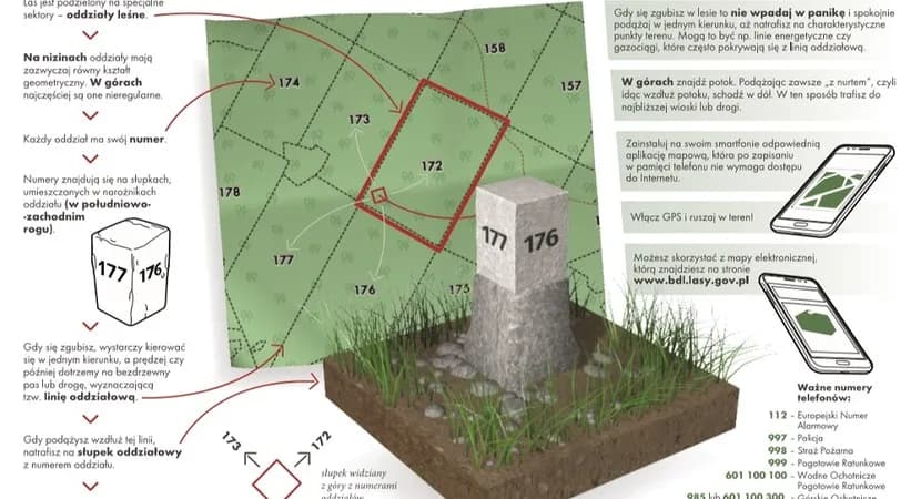 Aplikacja jak wyjść z lasu - skuteczne narzędzia nawigacyjne dla każdego